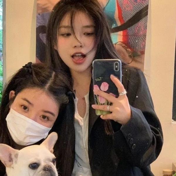 鸥鸟落亡于海港