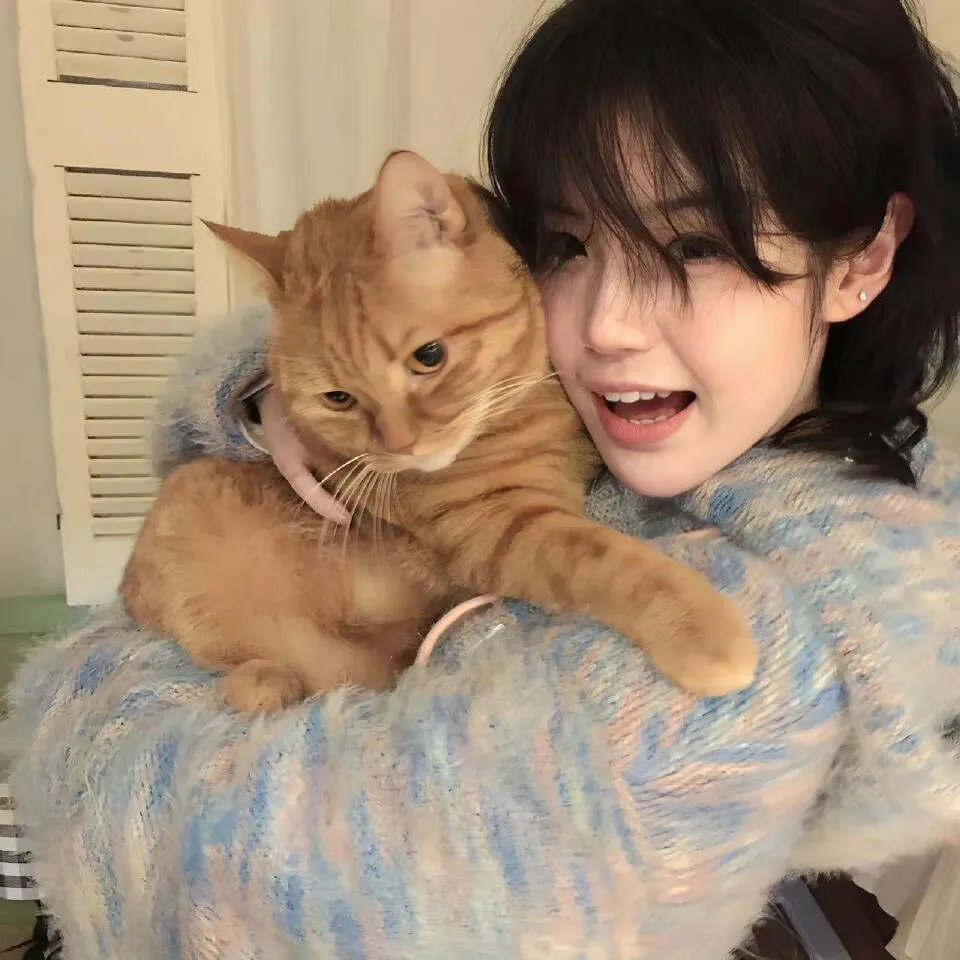 穿越古代最贫县带领全县吃饱饭